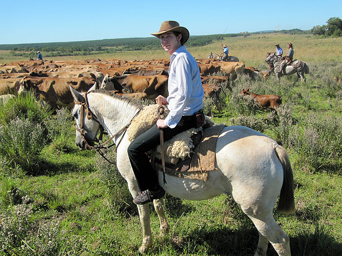 AR0411OF182_estancia-santa-cecilia-cattle-drive-oli.jpg [&copy; Last Frontiers Ltd]