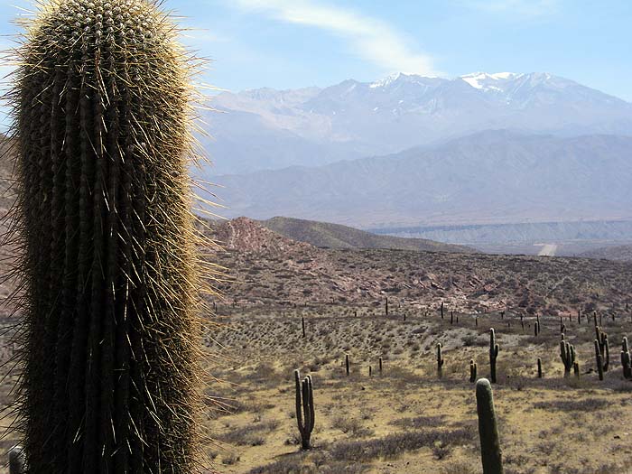 AR0904EP045_road_to_cachi.jpg [&copy; Last Frontiers Ltd]