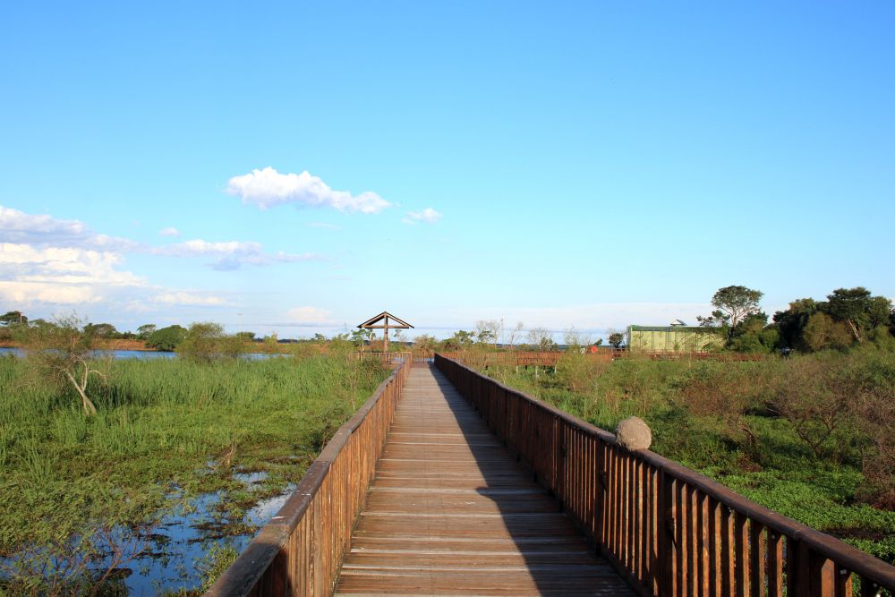 AR2404LD220_casa-de-esteros-ibera-lagoon-walkways.jpg [&copy; Last Frontiers Ltd]