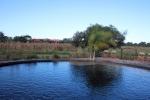 Image: Casa de Esteros - The Iberá Marshlands, Argentina