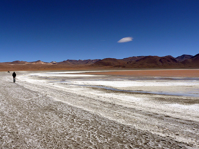 BO0609RB119_laguna_colorado.jpg [&copy; Last Frontiers Ltd]