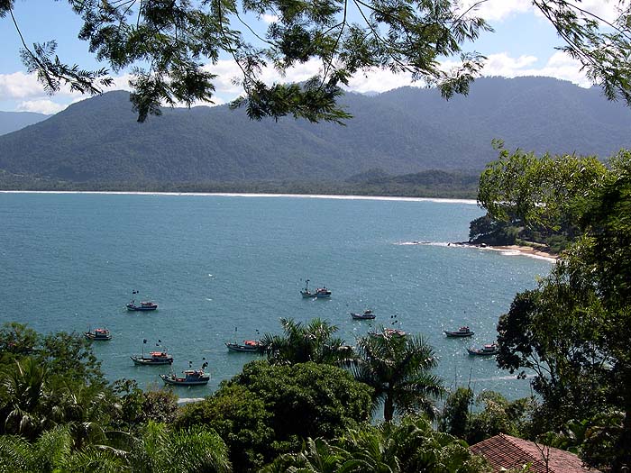 BR0504SM287_Picinguaba.jpg [&copy; Last Frontiers Ltd]