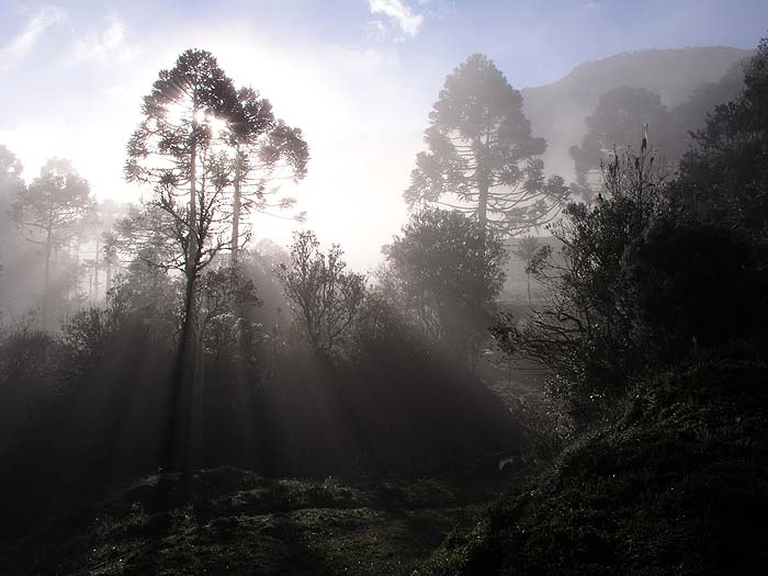 BR0904EP091_rio_canoas.jpg [&copy; Last Frontiers Ltd]