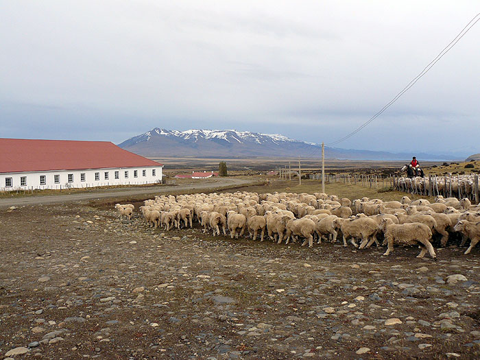 CH0408AB509_estanciacerroguido.jpg [&copy; Last Frontiers Ltd]