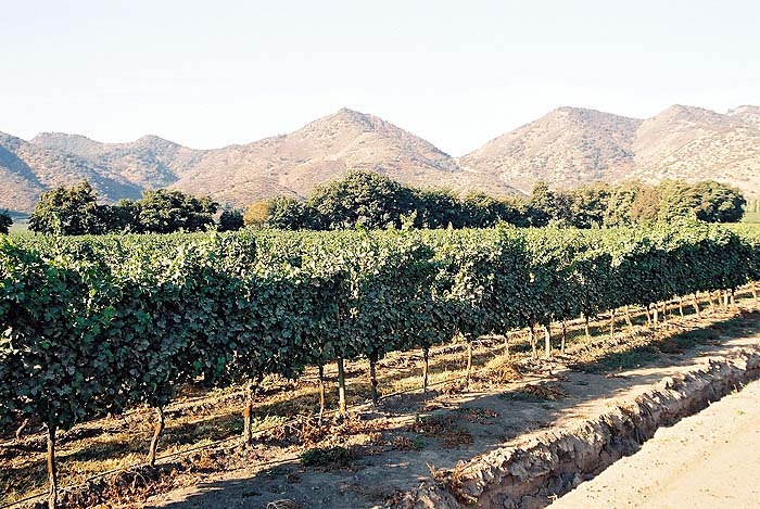 CHAP_5af_Inspecting_Sta_Rita_wine_estate.jpg [&copy; Last Frontiers Ltd]