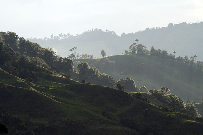CO0208EM156_cocora_valley.jpg [&copy; Last Frontiers Ltd]