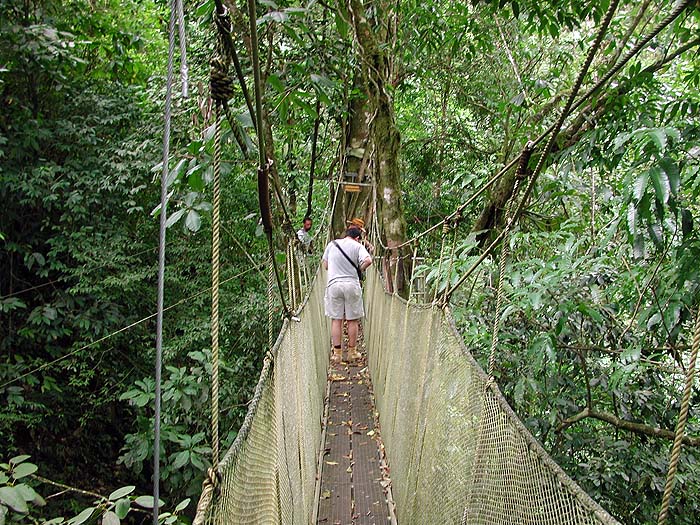CR0502SM0156_RainmakerCanopyWalk_Quepos.jpg [&copy; Last Frontiers Ltd]