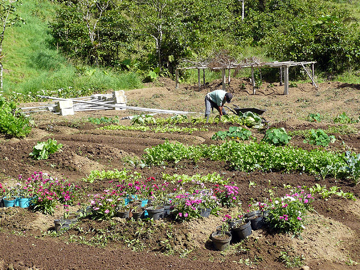 CR0508SM163_el-silencio-lodge.jpg [&copy; Last Frontiers Ltd]