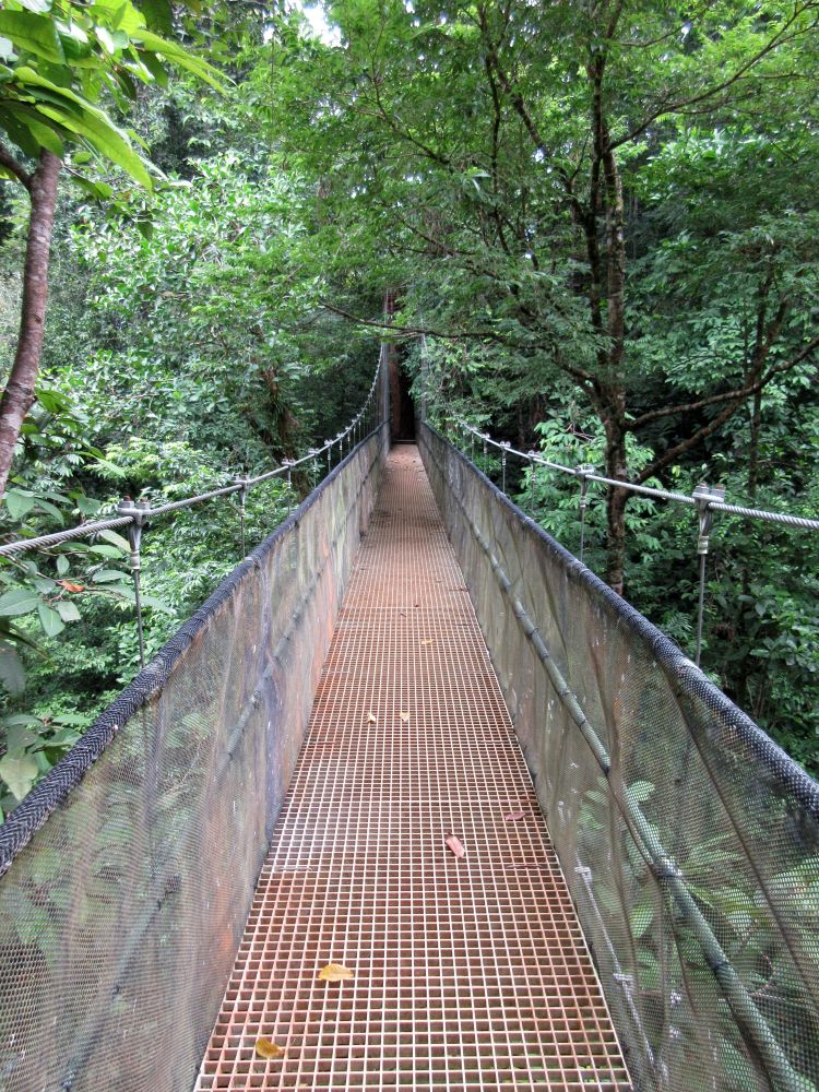 CR2405PC050_el-remanso-suspension-bridge.jpg [&copy; Last Frontiers Ltd]