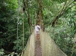 Canopy walkway, Manuel Antonio