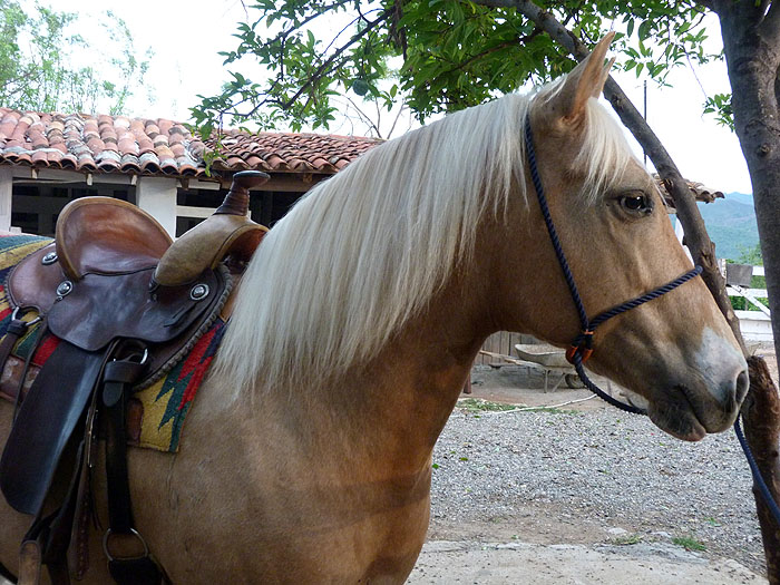 CU0614RR301_trinidad-finca-kenia.jpg [&copy; Last Frontiers Ltd]
