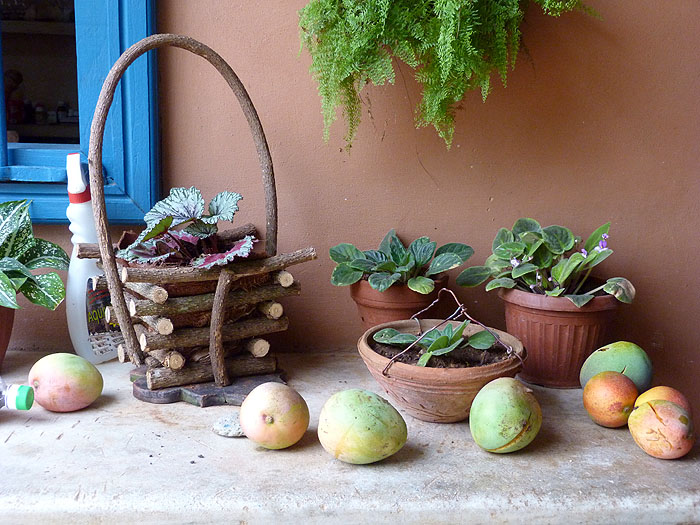 CU0614RR335_trinidad-finca-kenia.jpg [&copy; Last Frontiers Ltd]