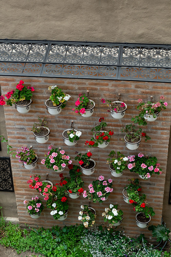 EC1018HG650_illa-experience-garden.jpg [&copy; Last Frontiers Ltd]