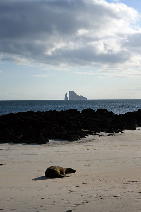 GP0608ED603_san-cristobal-cerro-brujo-beach.jpg [&copy; Last Frontiers Ltd]