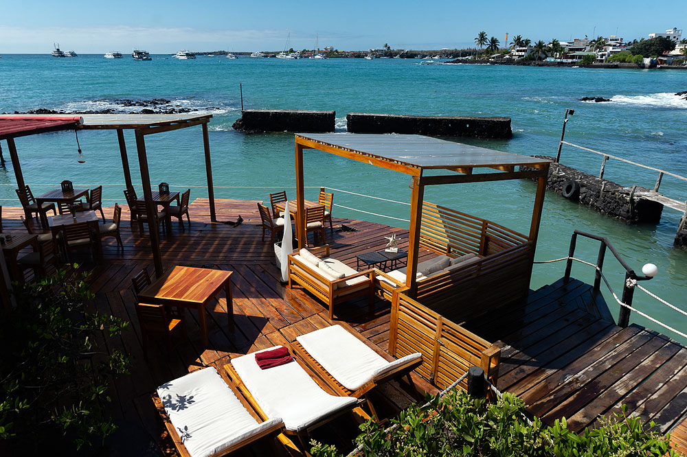 GP1018HG275_red-mangrove-terrace.jpg [&copy; Last Frontiers Ltd]