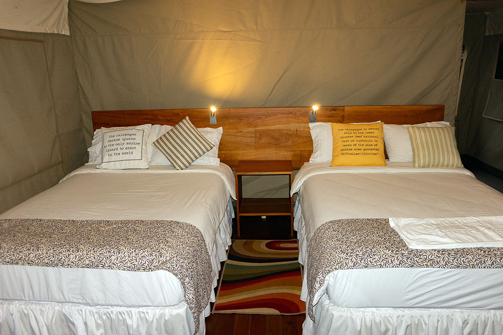 GP1018HG328_scalesia-lodge-standard-tent.jpg [&copy; Last Frontiers Ltd]