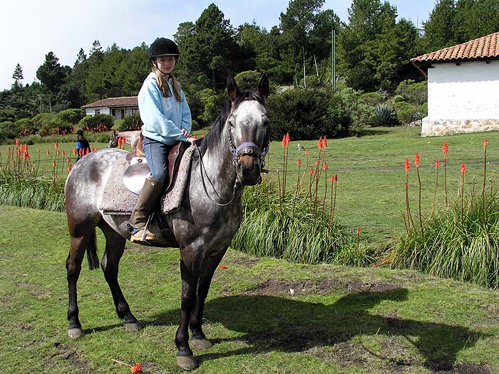 GU0704EP187_unicornio_azul.jpg [&copy; Last Frontiers Ltd]