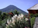 Image: Bambú - Lake Atitlán, Guatemala