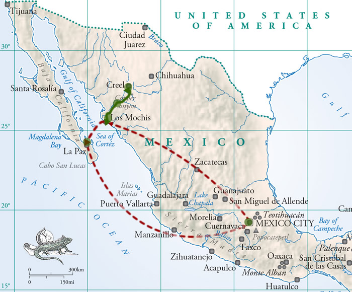 Enlarge Map