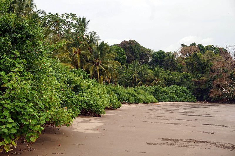 PA0418HG0442_isla-palenque.jpg [&copy; Last Frontiers Ltd]