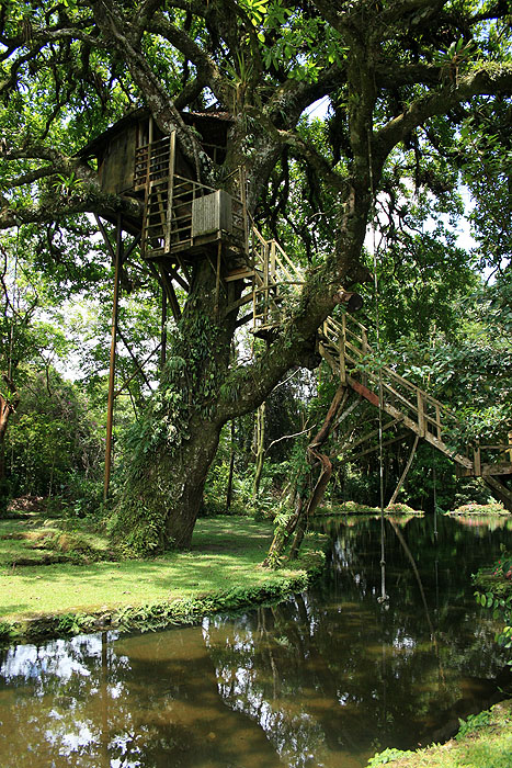 PA0509ED256_garden-canopy-lodge.jpg [&copy; Last Frontiers Ltd]