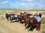 Coastal ride - José Ignacio and the East, Uruguay